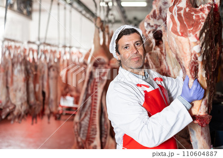 Male slaughterhouse worker showing beef chunk in meat storage Male slaughterhouse worker showing beef chunk in meat storage 110604887