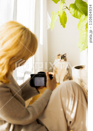 自宅で猫を撮影する女性 110604934