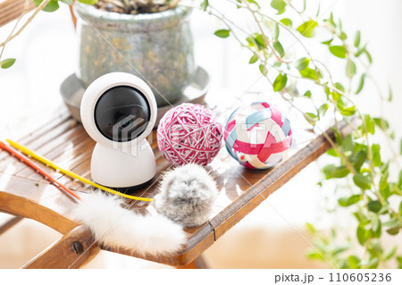 ペットカメラと猫のおもちゃ ペットカメラと猫のおもちゃ 110605236