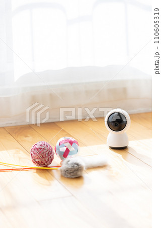 リビングの床に置かれたペットカメラと猫のおもちゃ 110605319