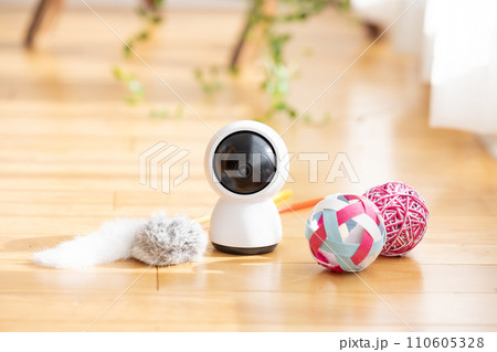 リビングの床に置かれたペットカメラと猫のおもちゃ リビングの床に置かれたペットカメラと猫のおもちゃ 110605328