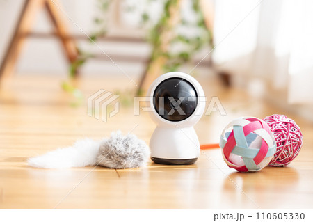リビングの床に置かれたペットカメラと猫のおもちゃ リビングの床に置かれたペットカメラと猫のおもちゃ 110605330