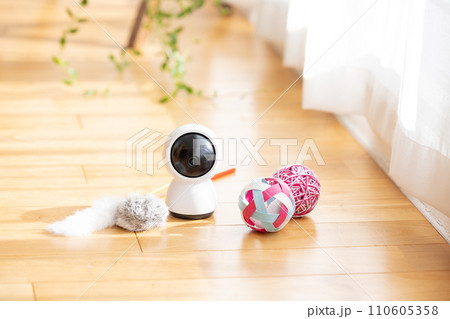 リビングの床に置かれたペットカメラと猫のおもちゃ リビングの床に置かれたペットカメラと猫のおもちゃ 110605358