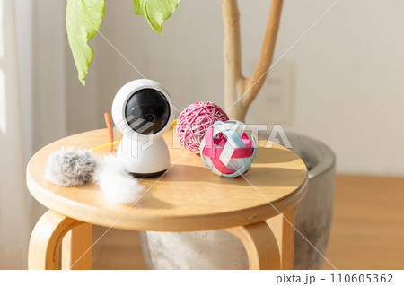 リビングの床に置かれたペットカメラと猫のおもちゃ 110605362