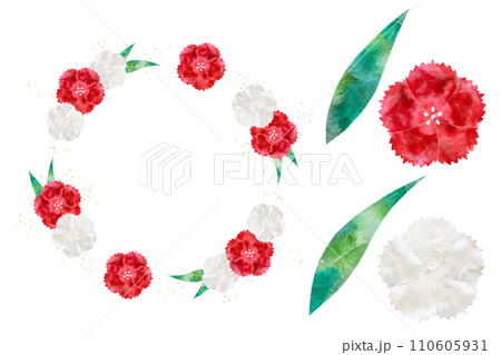 ナデシコ 110605931