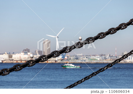 港の風景と係留船の錨鎖に止まるウミネコ 港の風景と係留船の錨鎖に止まるウミネコ 110606034