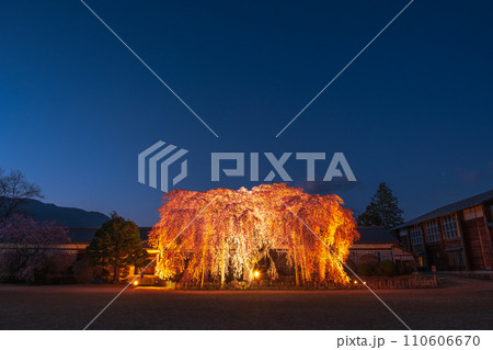 杵原学校の枝垂れ桜(ライトアップ) 杵原学校の枝垂れ桜(ライトアップ) 110606670