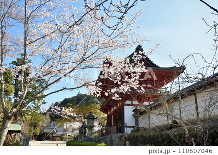 天野山金剛寺(楼門)　【大阪府河内長野市天野】 110607046