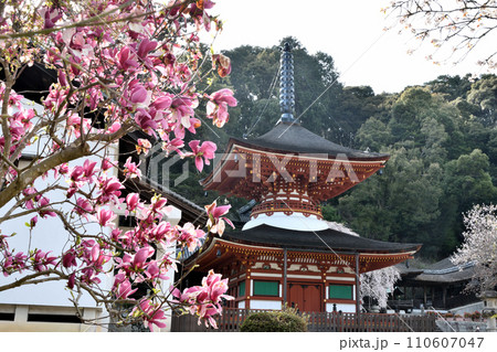 天野山金剛寺(多宝塔) 【大阪府河内長野市天野】 天野山金剛寺(多宝塔) 【大阪府河内長野市天野】 110607047