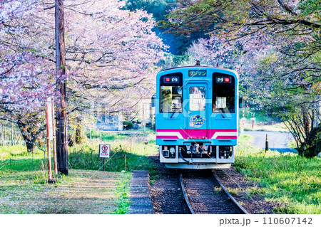 樽見鉄道 サクラ咲く谷汲口駅 樽見鉄道 サクラ咲く谷汲口駅 110607142
