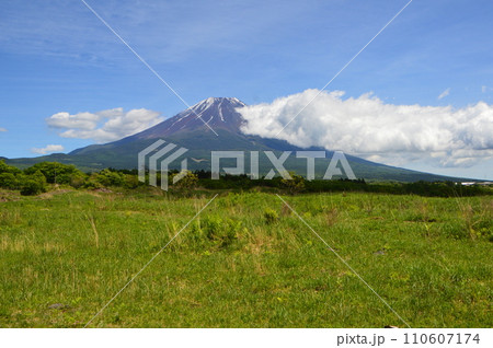 富士山(朝霧高原/静岡県富士宮市) 富士山(朝霧高原/静岡県富士宮市) 110607174