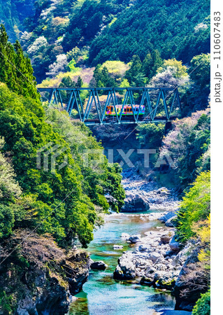樽見鉄道　第六根尾川橋梁 110607483