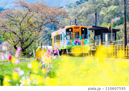 樽見鉄道 春の木知原駅 樽見鉄道 春の木知原駅 110607595