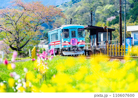 樽見鉄道　春の木知原駅 110607600