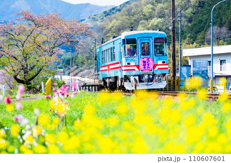 樽見鉄道　春の木知原駅 110607601