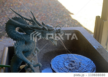 箕面瀧安寺観音堂の手水龍神 箕面瀧安寺観音堂の手水龍神 110608080