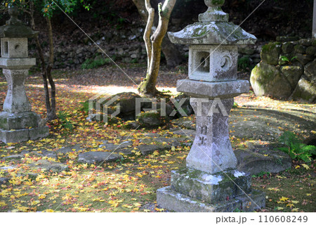 紅葉シーズン箕面瀧安寺弁天堂境内の石燈籠とモミジの落葉 紅葉シーズン箕面瀧安寺弁天堂境内の石燈籠とモミジの落葉 110608249