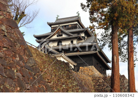 国宝 松江城の現存天守と石垣(本丸東側) 国宝 松江城の現存天守と石垣(本丸東側) 110608342