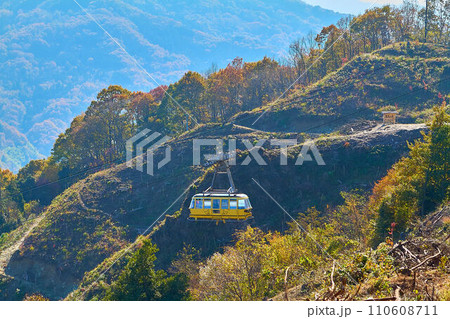 秋の埼玉県長瀞町の宝登山ロープウェイと熊高の森 110608711