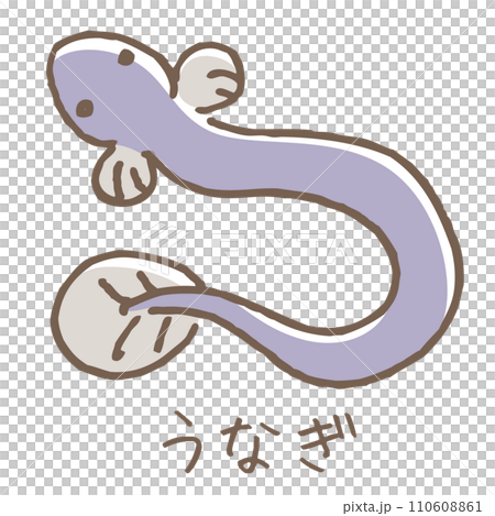 Eel illustration 110608861