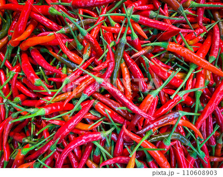 Fresh red chili and space for text on wooden background Fresh red chili and space for text on wooden background 110608903