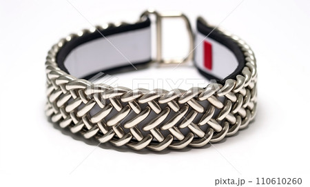 Husky Collar Attraction Husky Collar Attraction 110610260