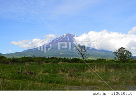 富士山(朝霧高原/静岡県富士宮市) 富士山(朝霧高原/静岡県富士宮市) 110610510