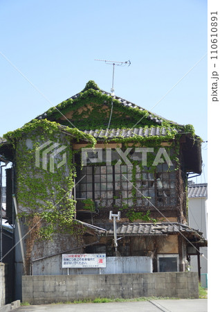 ツタに覆われた家(倉橋島/広島県呉市音戸町) ツタに覆われた家(倉橋島/広島県呉市音戸町) 110610891