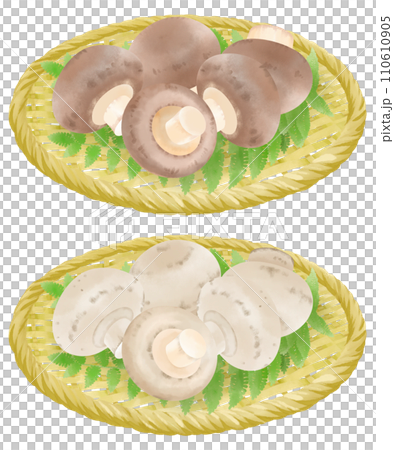 濾鍋上蘑菇的插圖 110610905