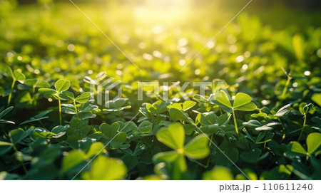 Irish Four Leaf Clover in Field Symbol of Luck for St. Patrick's Day 110611240