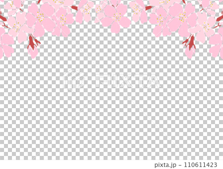 櫻花背景素材 盛開的櫻花 櫻花背景素材 盛開的櫻花 110611423