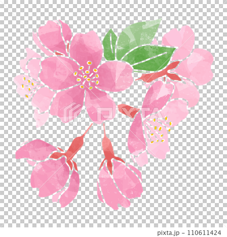 櫻花切圖水彩風格 110611424