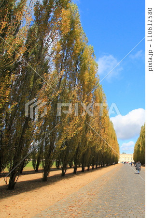 秋空の下、ヴェルサイユ宮殿のプチ・トリアノン通りの並木道（フランス イヴリーヌ） 110612580