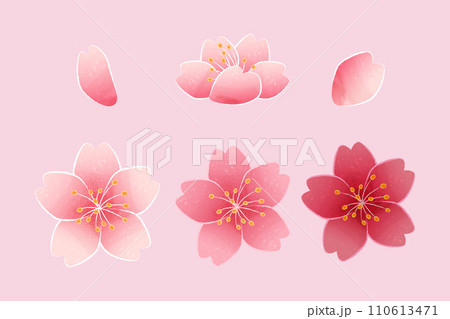 Pink cherry blossom element set 110613471