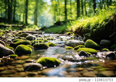 Generative AI A brook that flows through a forest, and on its banks a lot of greenery 110613753