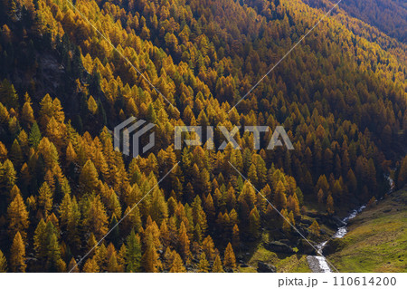 Texelgruppe nature park (Parco Naturale Gruppo di Tessa) near Timmelsjoch - high Alpine road, South Tyrol, Italy 110614200