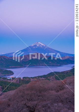 （神奈川県）箱根大観山から望む富士山の夜明け 110614241
