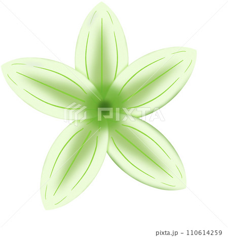illustration of a flower illustration of a flower 110614259