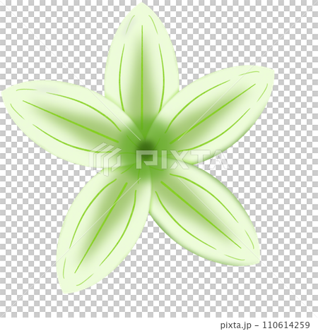 illustration of a flower illustration of a flower 110614259