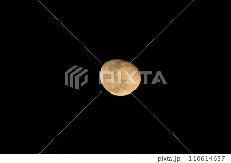 2023年十二月三十日(みそか)の月齢17.1の居待月 2023年十二月三十日(みそか)の月齢17.1の居待月 110614657