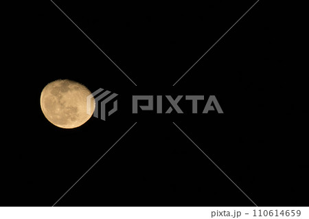 2023年十二月三十日（みそか）の月齢17.1の居待月 110614659