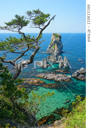 山口県長門市青海島の昇り龍のような形の松とカモメ岩の風景 Ver2 山口県長門市青海島の昇り龍のような形の松とカモメ岩の風景 Ver2 110615166