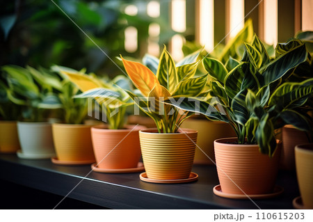 Generative AI Flower pots on a surface Generative AI Flower pots on a surface 110615203