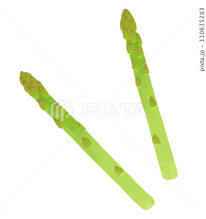 アスパラガスの手描き風イラスト 110615283