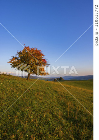 Carpathian mountains landscape, Eastern Slovakia Carpathian mountains landscape, Eastern Slovakia 110615772