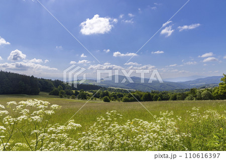 Typical Spring landscape in White Carpathians near Stary Hrozenkov, Southern Moravia, Czech Republic 110616397
