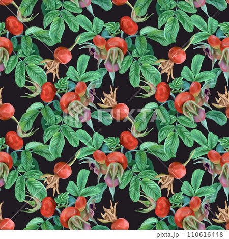 Rose hips, berries and twigs, seamless pattern. Graphic illustration on a black background. Cards, invitations, packaging, covers, textiles, wallpaper Rose hips, berries and twigs, seamless pattern. Graphic illustration on a black background. Cards, invitations, packaging, covers, textiles, wallpaper 110616448