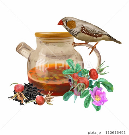 Teapot, rosehip, dry tea leaves, bird. Graphic illustration isolated on white background. Cards, packaging, labels, covers, flyers, tea ceremony. 110616491