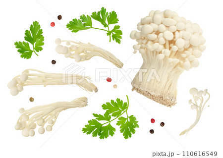 Enoki mushroom, Golden needle mushroom isolated in white background . Top view. Flat lay 110616549