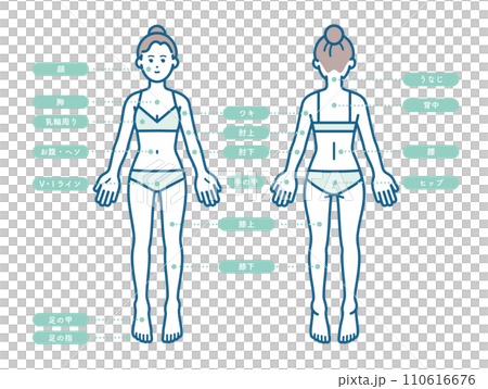 女性の脱毛部位 110616676